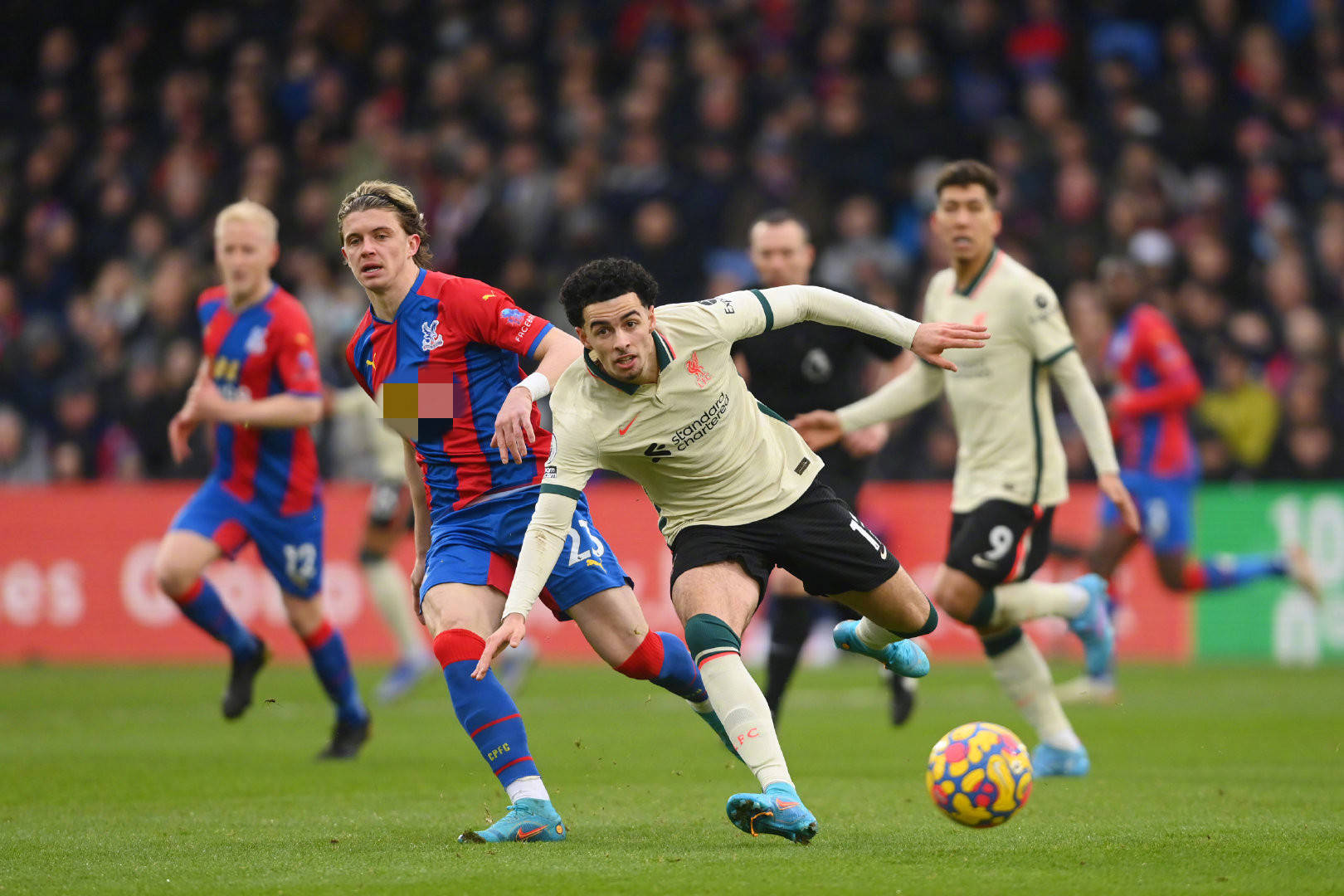 言替补球员 言替补球员